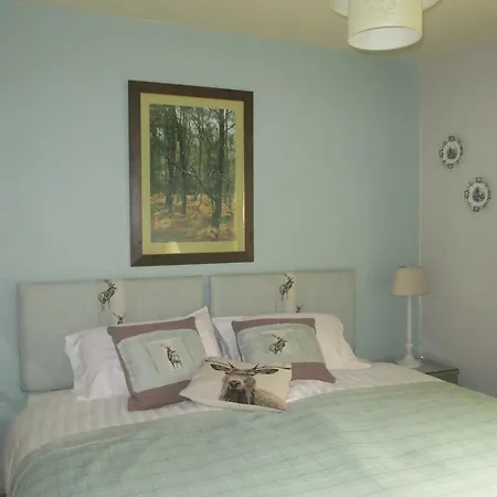 Gorse Grove - 4*