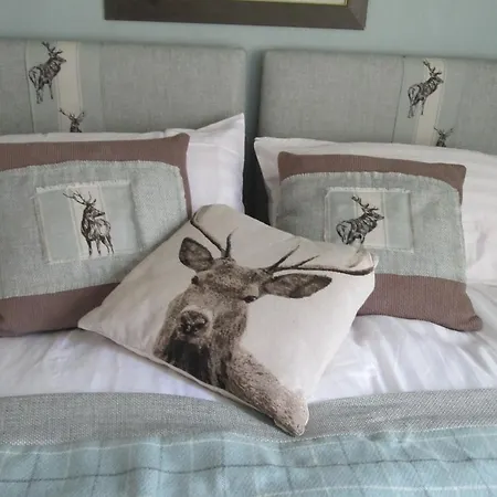 Bed & Breakfast Gorse Grove - Kirby Hill